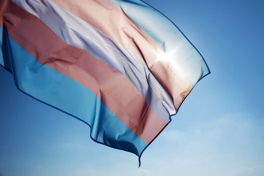 AdobeStock_274246325 AdobeStock_274246325